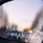 古潮代 车窗个性创意文字车贴 多款可选