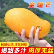 恰货郎 海南金煌芒果 净重4斤 礼盒装 特大果400克+
