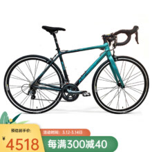 美利達（MERIDA）SHADOW幻影6 20速 公路自行车 青萝绿/知否绿 700*52CM(建议身高180-190CM)