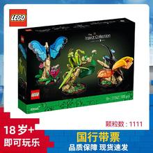LEGO 乐高 积木 IDEAS 21342昆虫系列 新品男女孩玩具生日礼物