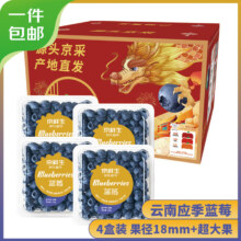 plus会员：Mr.Seafood 京鲜生 云南蓝莓 4盒装 果径18mm+ 新鲜水果礼盒 源头直发