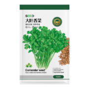 京农研 农科院大叶香菜种子 10克