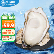 京东百亿补贴：乳山牡蛎 鲜活乳山生蚝 2XL号 户外烧烤食材 净重2.5kg 18-25只