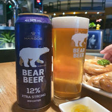 BearBeer 豪铂熊 12°浓烈啤酒500ml*24听 口感强劲 春日畅饮 整箱装 德国原装进口