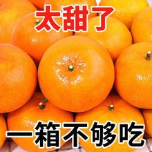 正宗广西武鸣沃柑桔橘子超甜应季新鲜水果非丑橘10斤