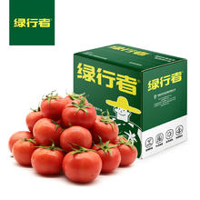 GREER 绿行者 小粉番茄5斤 水果沙瓤生吃西红柿新鲜蔬菜采摘健康轻食酸甜多汁