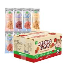 金晔山楂棒山楂零食40支