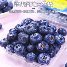 超值出游季！特大蓝莓 125g/2盒 果径18-22mm+京东包邮