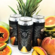 Mortalis 凡人 承上启下 10%vol 咖啡世涛啤酒 473ml 单听装