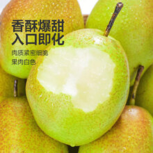 华北强 山西红香酥梨净重5斤大果 新鲜水果