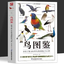 《鸟图鉴》
