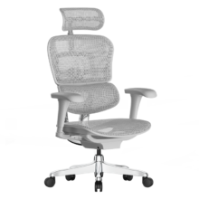 20点开始、PLUS会员：Ergonor 保友办公家具 金豪B 2代 人体工学电脑椅 银白色 美国网