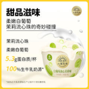 LAND OF PROMISE 北海牧场 宝石碗白葡萄流心茉莉味140g*4杯风味发酵乳0蔗糖酸奶