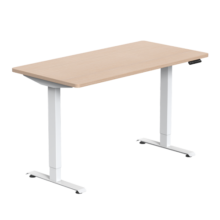 蓝立哆 （Elydo）电动升降桌电脑桌办公书桌双电机站立式工作台学习桌H2 H2白色桌腿+北欧白橡木色桌面 1.6*0.8m桌板