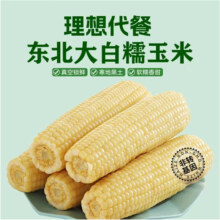 【四平玉米】东北白糯玉米棒10根250g真空包装软糯香黏粘非转基因