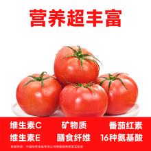 一颗大 ™ 粉番茄 水果 粉番茄 550g *1盒