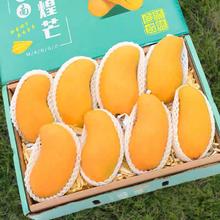 柠郡王 今日秒杀100箱！！ 海南金煌芒果 9.5斤装 （单果500g+）