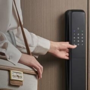 3.8焕新、PLUS会员：DESMAN 德施曼 全自动智能锁Q50 高端黑