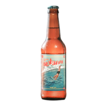 拾捌精酿18号酒馆跳东湖国产精酿IPA/胶片机牛奶世涛精酿啤酒 6瓶装跳东湖IPA