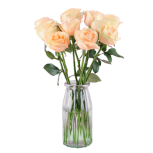 花点时间鲜花云南直发送女友送老婆生日礼物玫瑰六出组合花材花束 【特殊品种】洛神玫瑰10枝