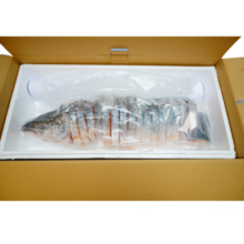 美威冷冻智利 三文鱼礼盒4kg 整条轮切 大西洋鲑 生鲜海鲜 鱼类水产