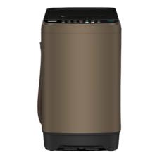 CHIGO 志高 XQB82-2010 定频波轮洗衣机 8.2kg 咖啡金