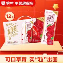 MENGNIU 蒙牛 真果粒牛奶饮品饮料整箱礼盒装 250g*12盒/箱