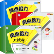 《亮点给力大试卷》（年级/版本任选）