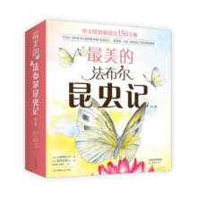最美的法布尔昆虫记全12册套装 松冈达英大师 儿童自然科普昆虫百科全书学校推荐课外阅读3-6岁7-10岁爱心树童书
