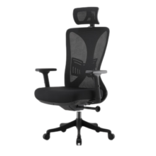 菲迪-至成人体工学椅电脑椅子家用办公座椅久坐舒适电竞椅可躺老板椅学习椅 F180-01-黑（海绵座垫）