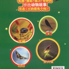 它世界系列丛书：小的很有个性（小小动物科普故事）