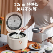 九阳（Joyoung） 电饭煲4L智能家用电饭锅柴火饭3-4-5-6人大容量可做蛋糕保温可定时预约22分钟特快饭多功能电饭煲 F40FY-F504【店长推荐】4升