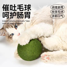 88VIP会员：疯狂的主人 猫玩具猫薄荷球超大自嗨解闷神器猫咪用品大全逗猫棒宠物玩具磨牙16.06元