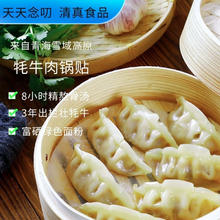 天天念叨 高原牦牛肉玉米锅贴蒸饺 260g