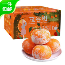 京鲜生 广西茂谷柑4.5斤 单果110-130g 脏脏柑橘子 源头直发包邮