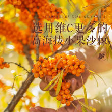 三只松鼠 】宁夏特产养生饮品鲜果榨浆原汁健康