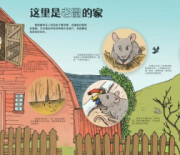 动物怎样盖房子(精)/孤独星球童书系列