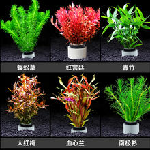 青色水景 造景装饰 优惠商品