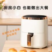 MELING 美菱 空气炸锅5L