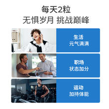诺特兰德 牡蛎精胶囊袋鼠精氨酸男性滋补牛磺酸提升精力锌硒片60粒