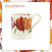 EMMA BRIDGEWATER 鸢尾蓝 陶瓷马克杯 300ml