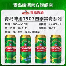 青岛啤酒 经典1903四季常青 啤酒