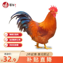 京东百亿补贴、plus会员:潭牛海南文昌鸡整鸡1kg散养土鸡肉