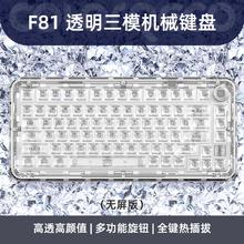 ColorReco 卡乐瑞可 F81 三模机械键盘 81键 冰晶轴 无屏版