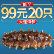 皇家麒麟 即食海参 即食大连刺参单个装 500g 5A即食海参 13-20只/斤