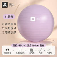 AOYI 奥义 瑜伽球 紫色 65cm