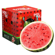 壹棵弘芯 正宗8424麒麟大西瓜 新鲜水果礼盒 1个装精选4-5斤 托盘保护+现摘