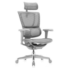 20点开始: Ergonor 保友办公家具 优b雄鹰 人体工学电脑椅 银白网 可旋转可升降扶手