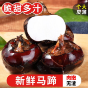 城南堡花 马蹄 5斤