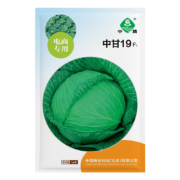 京农研 甘蓝种子 中蔬中甘19号绿甘蓝 1克